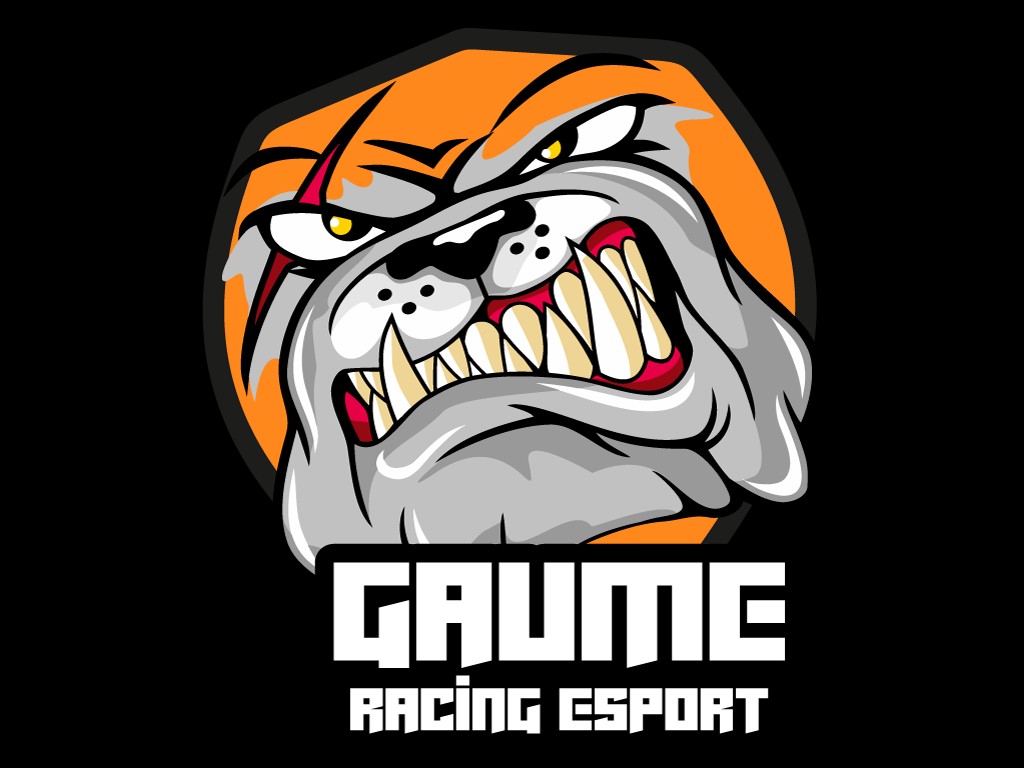 Gaume Racing Esport - team gran turismo