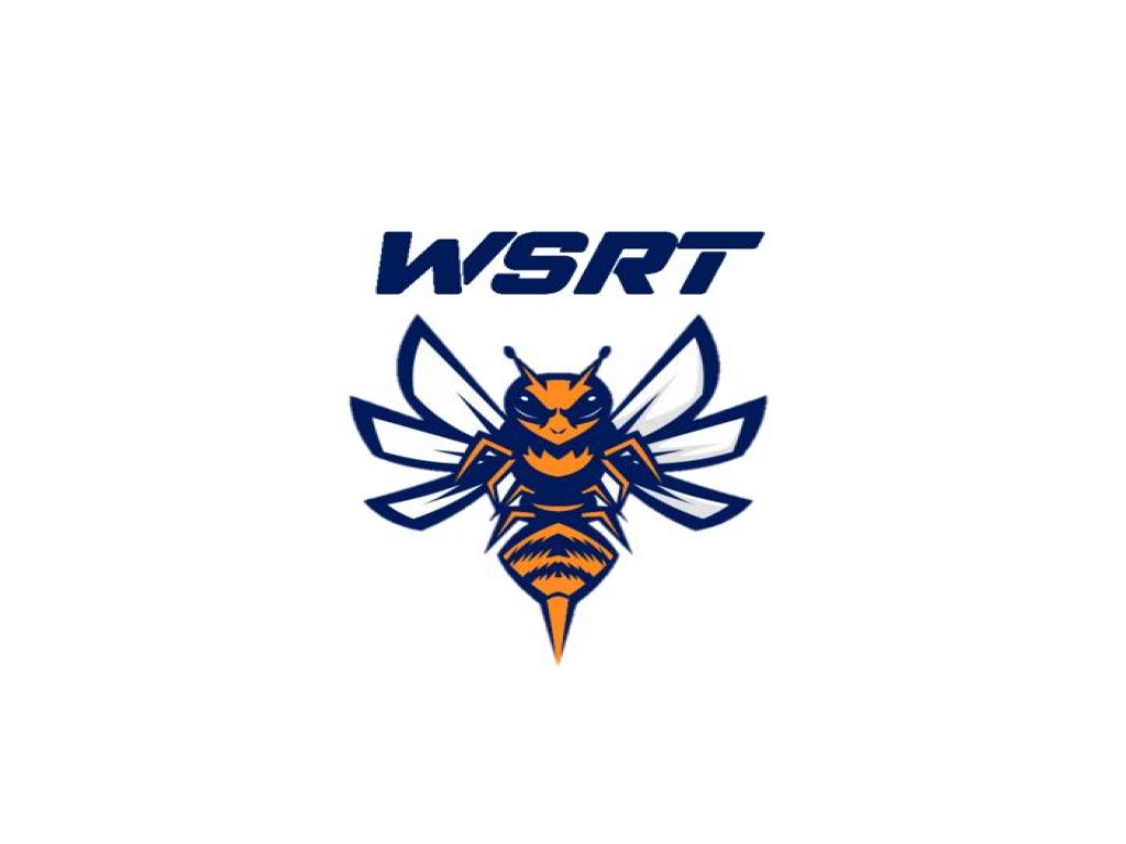 WSRT - Wasp Sim Racing Team - team gran turismo